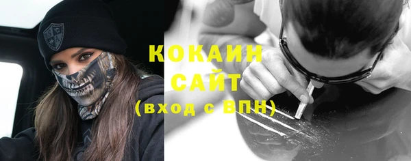 дживик Туринск