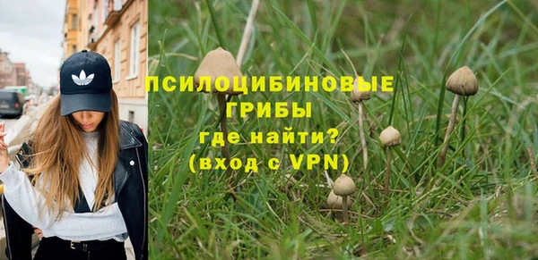 дживик Туринск