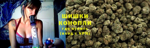 ешки Бронницы